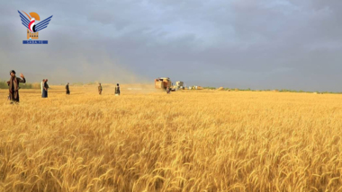 Die Eröffnung der Weizenerntesaison auf der Farm "Al-Rasoul Al-Azam“ in Al-Dschouf